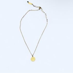 Francesca's Collections Gold Medallion Necklace